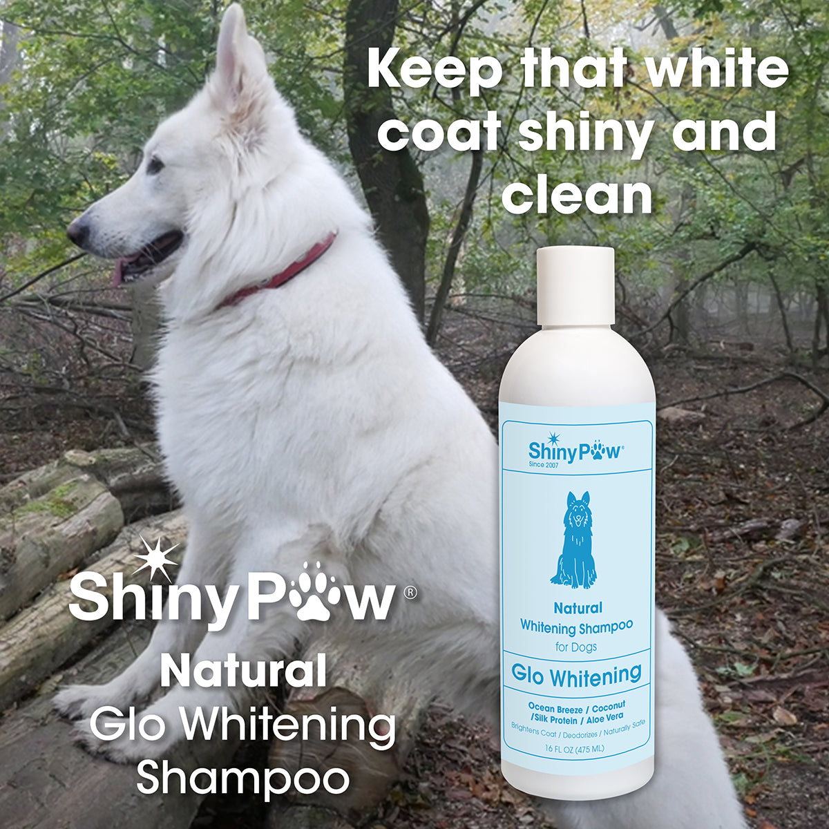 Whitening shampoo clearance for white dogs