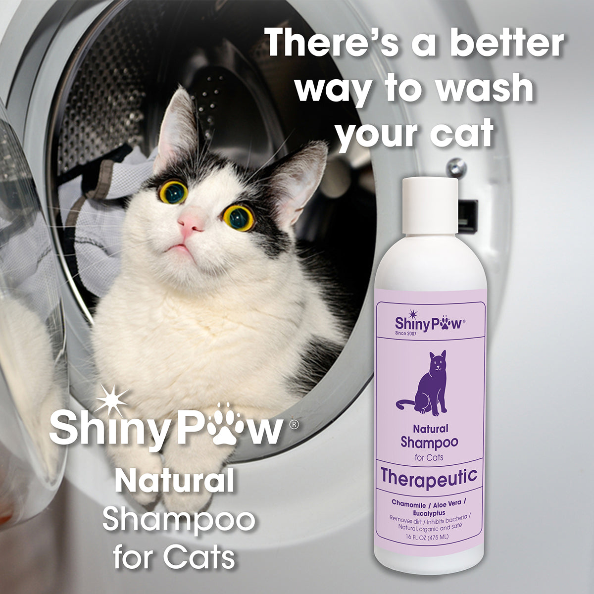 Safest cat outlet shampoo